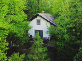 Forest House Trebević
